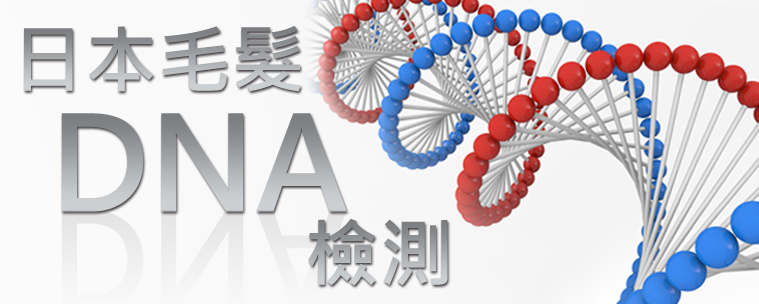 日本毛髮DNA檢測